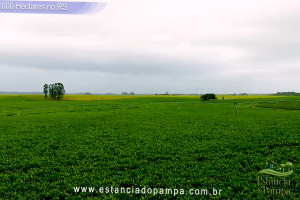 VB 4.00_00_59_10.Quadro008_dde05f01e1f4b7810500b62acafe2bd12c563669.jpg